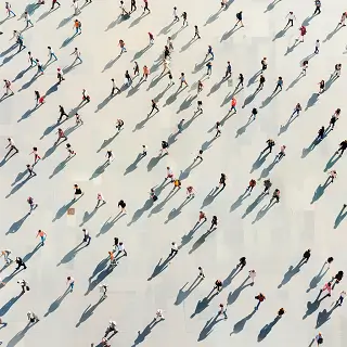 护林生活体验怎么写